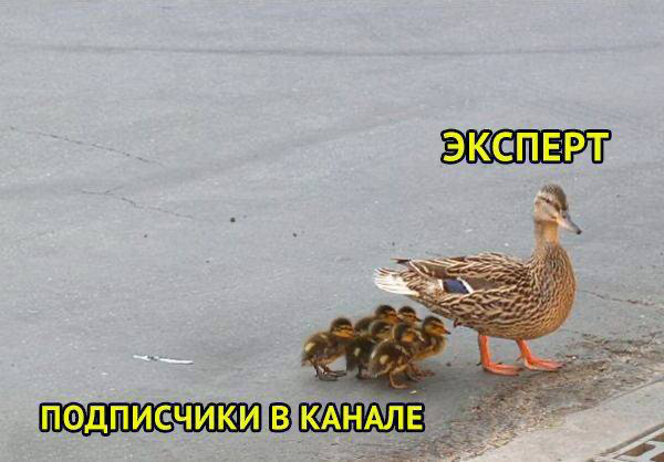 Захожу с козырей. С мемов!
Всем привет, случайно наткнулась на сетку, и подумала, а почему бы и нет?
Я специалист по закупу рекламы в телеграм | Сетка — социальная сеть от hh.ru