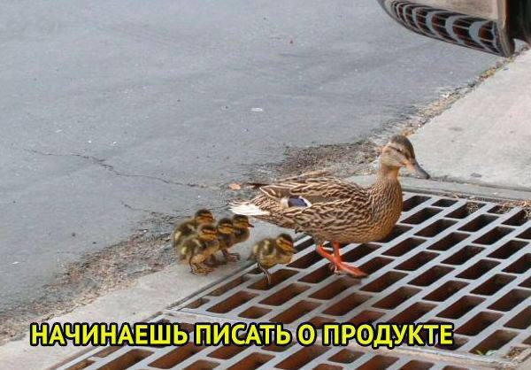 Захожу с козырей. С мемов!
Всем привет, случайно наткнулась на сетку, и подумала, а почему бы и нет?
Я специалист по закупу рекламы в телеграм | Сетка — социальная сеть от hh.ru
