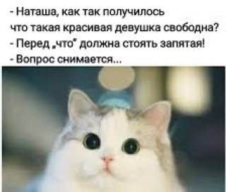 Школьный русский язык
Часто использую в постах, да и в работе термины из теории русского языка: отглагольные существительные, односоставные предложения и вот это вот всё | Сетка — социальная сеть от hh.ru