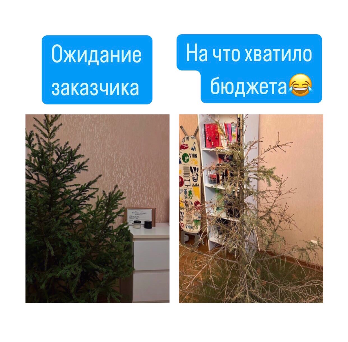 О вечно наболевшем 😂 Вы предпочитаете искусственную ёлку или живую? | Сетка — социальная сеть от hh.ru