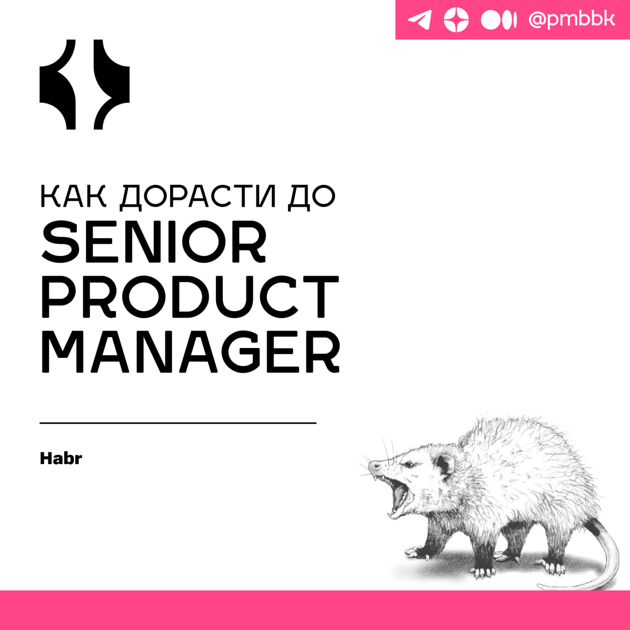 💪 Как дорасти до Senior Product Manager
В описаниях вакансий часто можно встретить упоминания Senior Product Manager | Сетка — социальная сеть от hh.ru