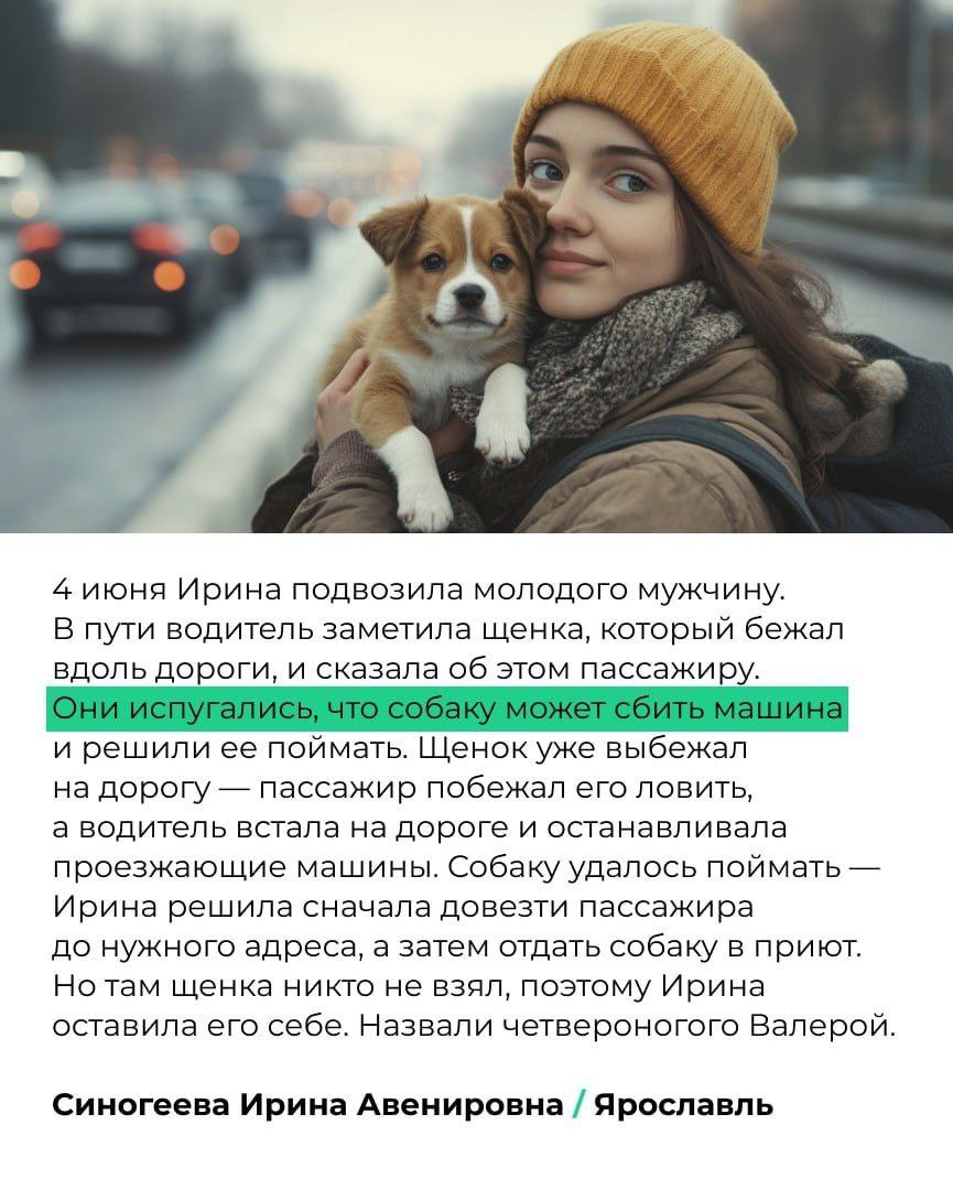 😀Яндекс Go @yandexinthecity запустил душевный проект с реальными историями о том, как люди иногда теряются или попадают в неприятности, а водители такси приходят на помощь | Сетка — социальная сеть от hh.ru