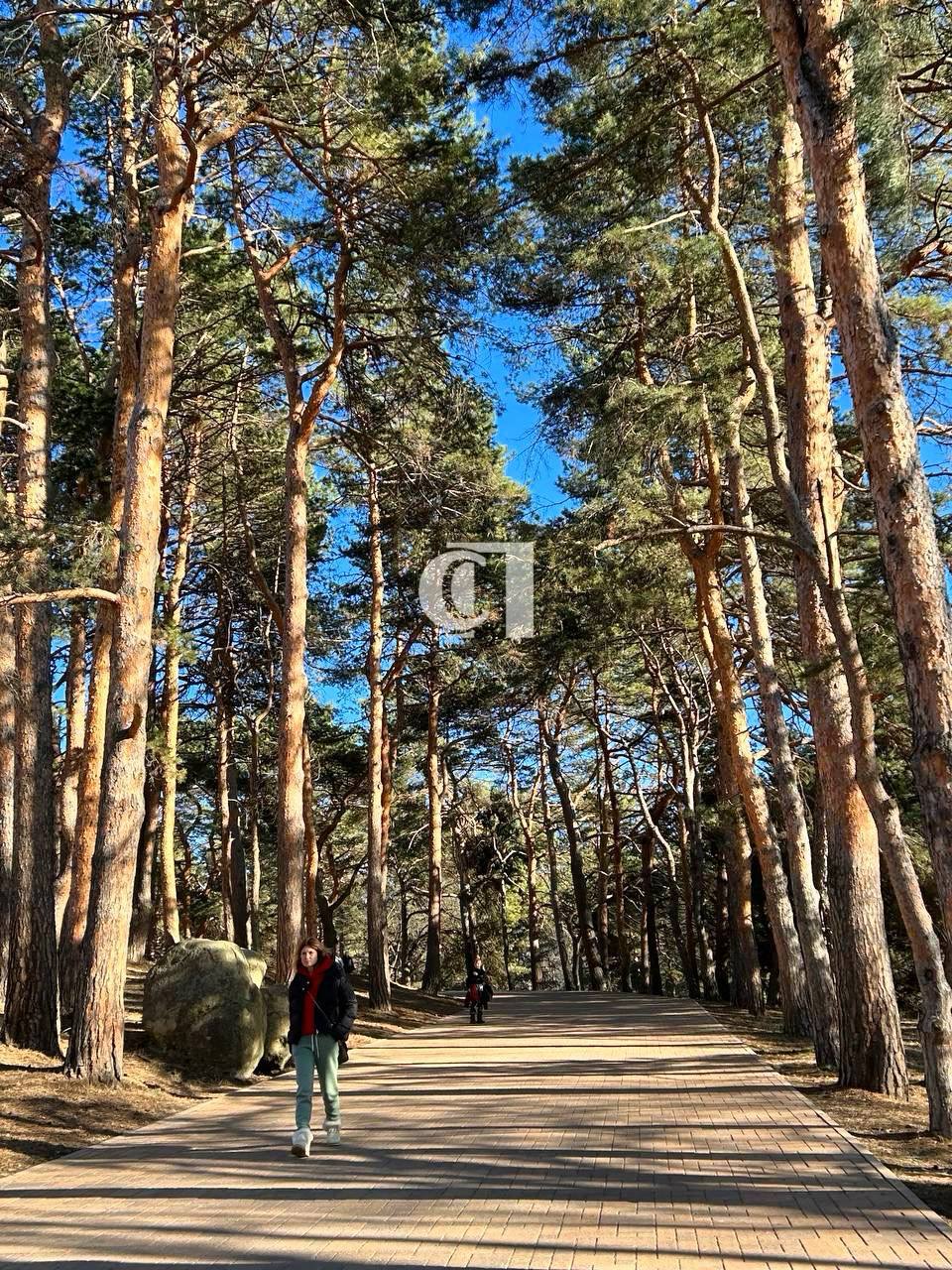 🏞️Прогулка по национальному парку «Кисловодский»
@stapravda
@stavropolyevibe | Сетка — социальная сеть от hh.ru