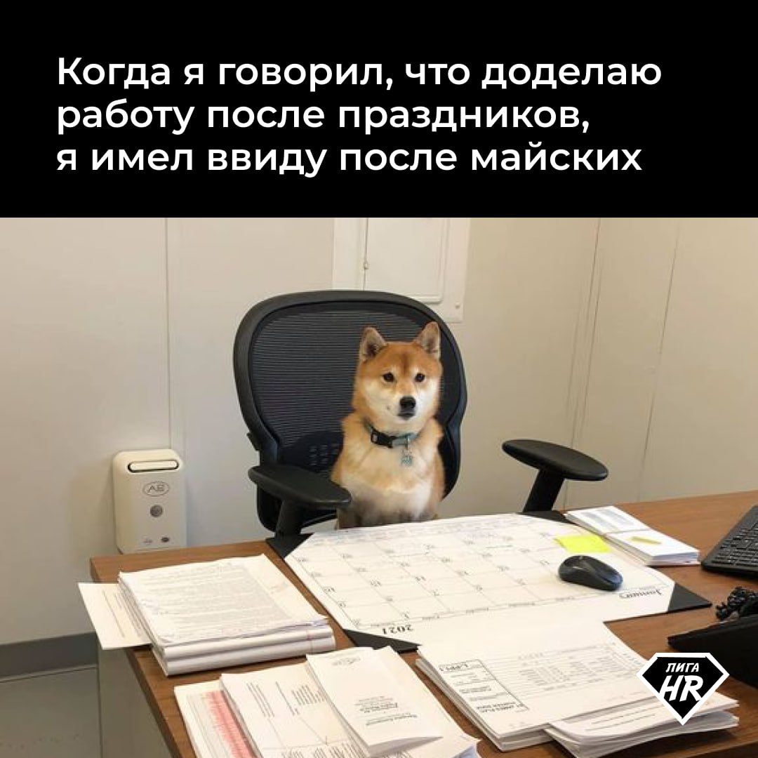 А вы влились уже в рабочий ритм? 😄 | Сетка — социальная сеть от hh.ru