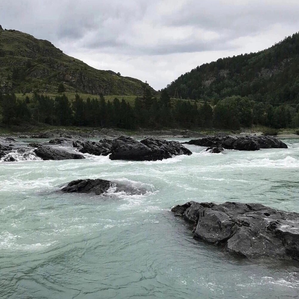 Dmitriy Ivanov | Сетка — социальная сеть от hh.ru