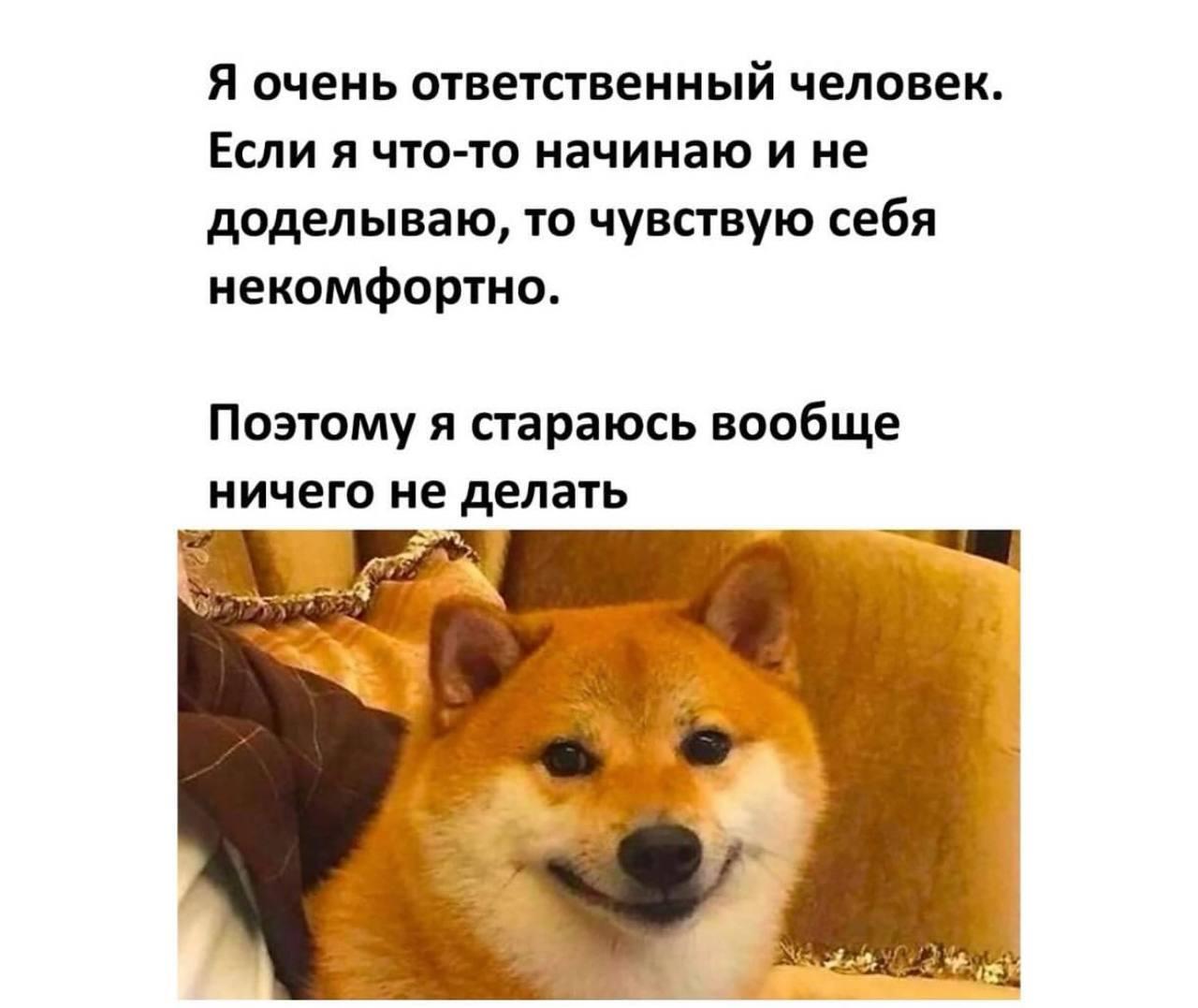 Ставьте ❤️, если вы ответственный человек. | Сетка — социальная сеть от hh.ru