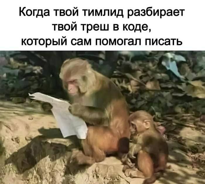 #IT
😂 Твой Пакет Мемов | Сетка — социальная сеть от hh.ru