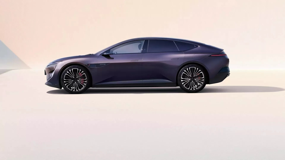 DayNews | Сетка — социальная сеть от hh.ru