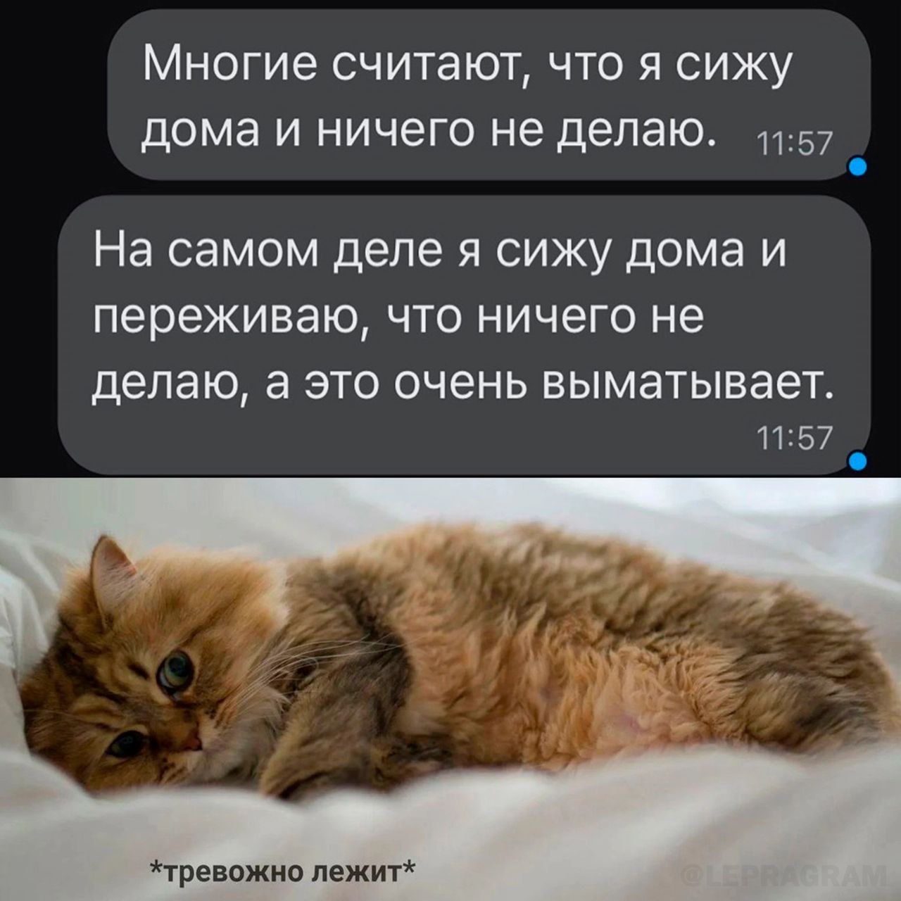 Привет, коллеги! Как обстоят дела на рынке труда? Спрашиваю, потому что в этом году еще не работала 🫣 | Сетка — социальная сеть от hh.ru