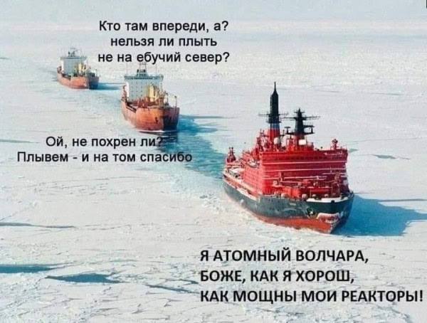 С пятницей, атомные волчары 🍾 | Сетка — социальная сеть от hh.ru