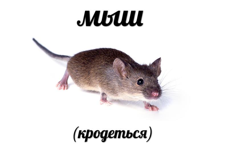 🐭 Мыш кродёться
Пять лет назад я отправил письмо с акциями и использовал этот мем в заголовке.
Через час в сообщениях группы начался знатный срач. Аудитория раскололась на два лагеря:
— 35+ | Сетка — социальная сеть от hh.ru