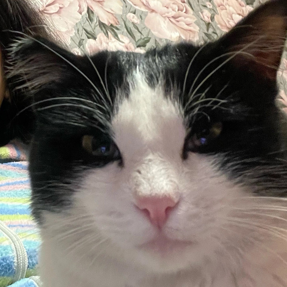 Тати Ии | Сетка — социальная сеть от hh.ru