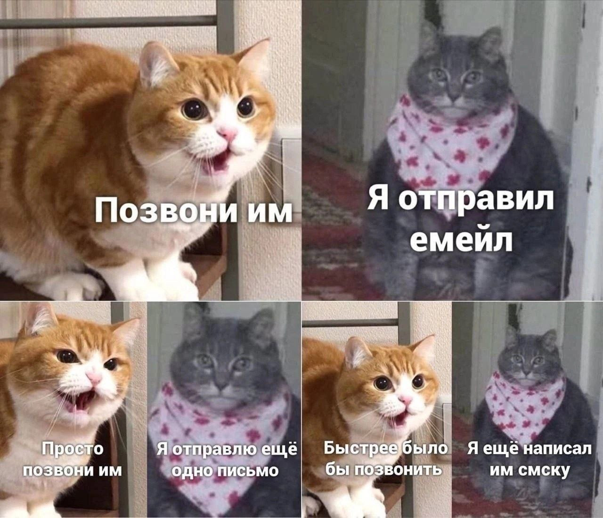 🙂‍↔️ | Сетка — социальная сеть от hh.ru