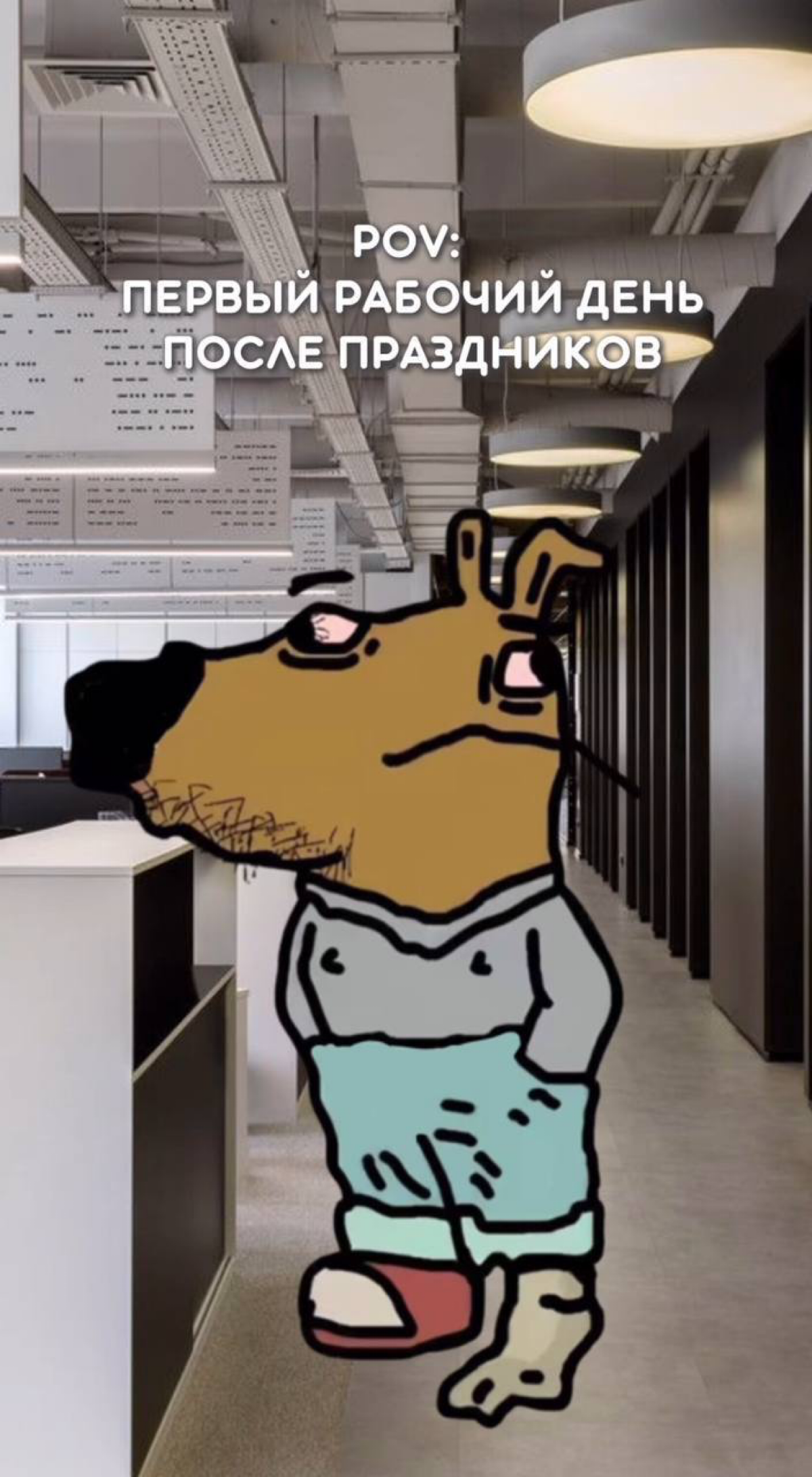 О актуальном... 🥲🤣
#мемы | Сетка — социальная сеть от hh.ru