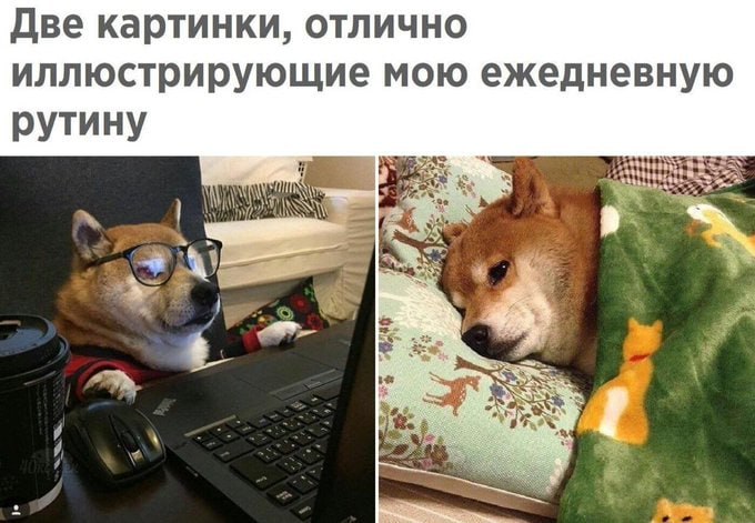 📊 KPI по мемам | Сетка — социальная сеть от hh.ru