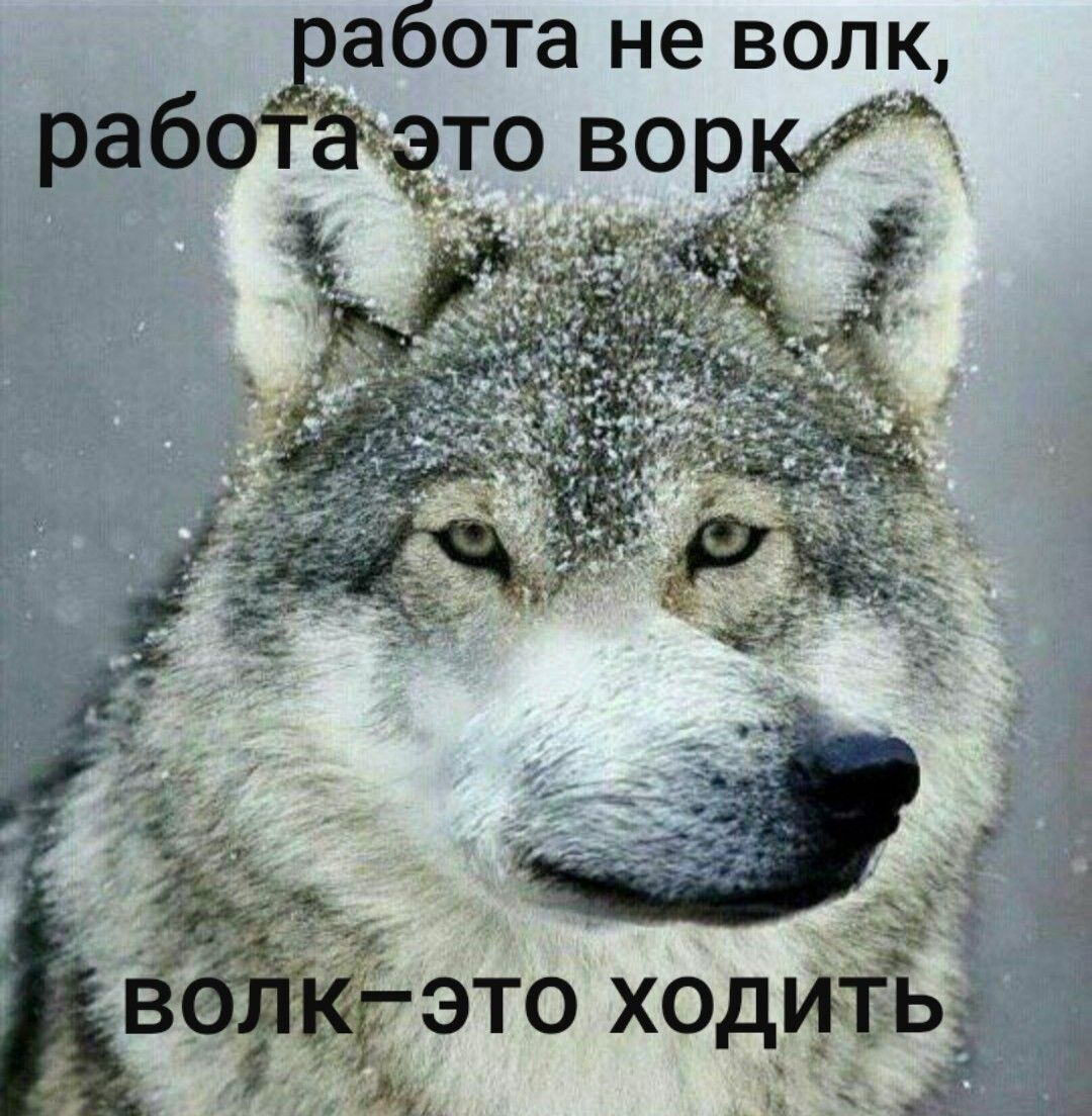 Мне пояснили, что я не в те дебри пошла искать работу | Сетка — социальная сеть от hh.ru