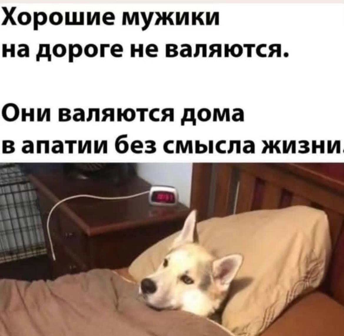 Ну вы там держитесь | Сетка — социальная сеть от hh.ru