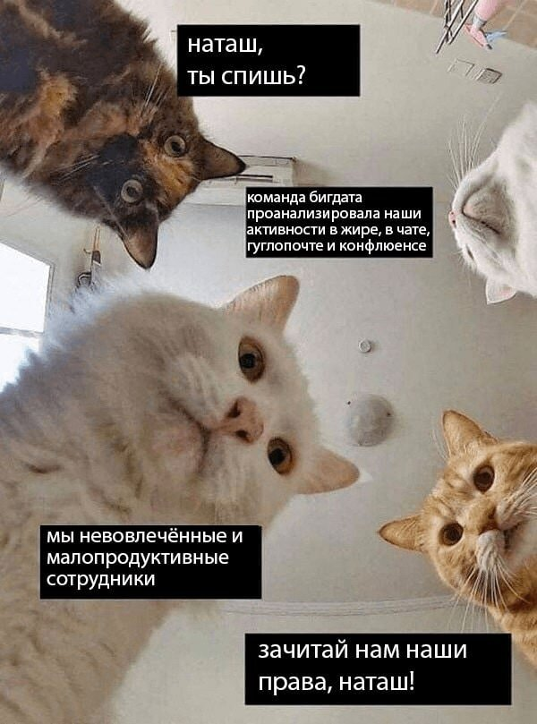 90% данных в мире были созданы за последние два года: как бизнесу извлечь выгоду из этого?
Каждые две секунды человечество создает столько данных, сколько накопилось за всю его историю до 2003 года | Сетка — социальная сеть от hh.ru