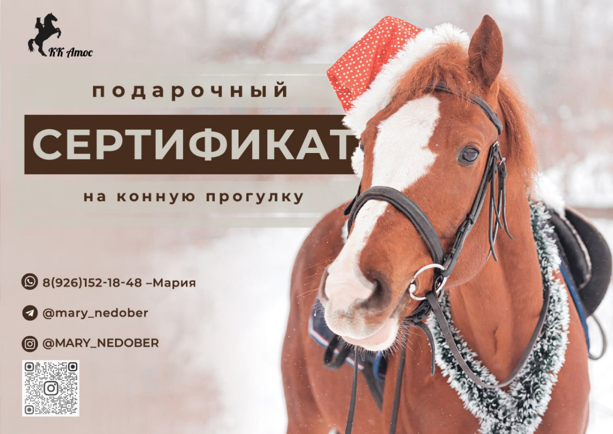 Создам яркие сертификаты, баннеры, визитки, буклеты и т.д. | Сетка — социальная сеть от hh.ru
