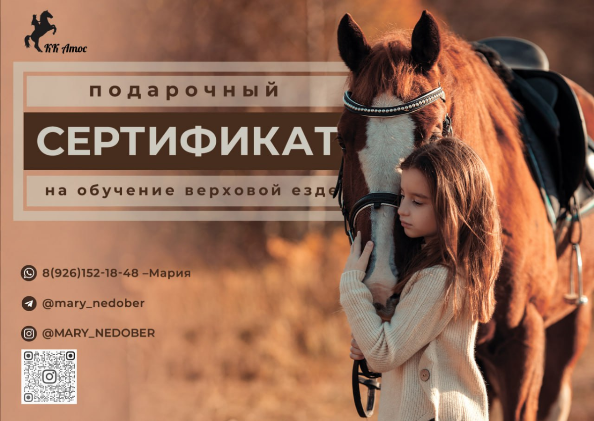 Создам яркие сертификаты, баннеры, визитки, буклеты и т.д. | Сетка — социальная сеть от hh.ru