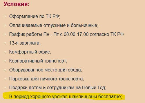 Почему все работодатели не могут делать так? | Сетка — социальная сеть от hh.ru