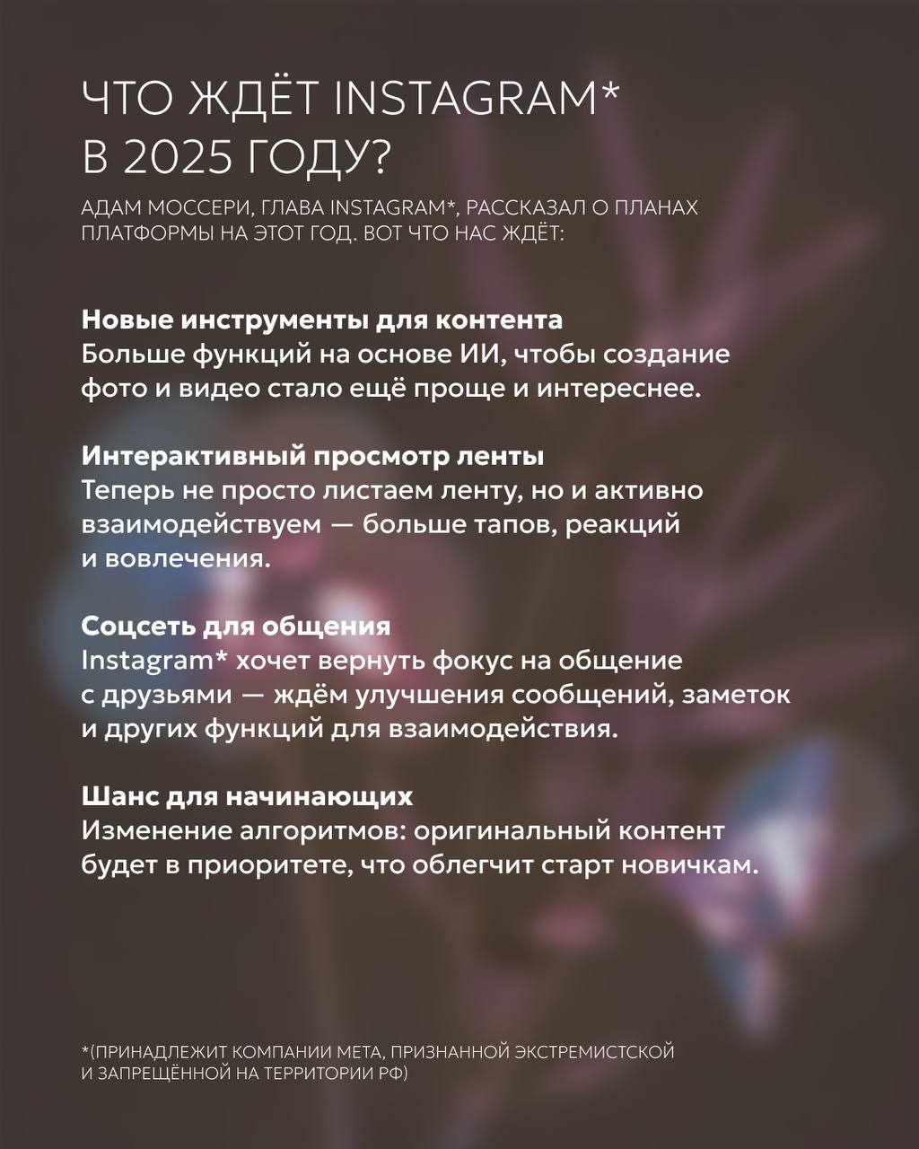 Платформа продолжает развиваться, внедрять новые технологии и улучшать пользовательский опыт | Сетка — социальная сеть от hh.ru