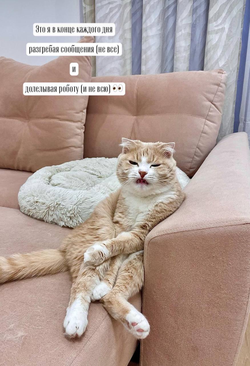 У кого Новый год «прошел»
У кого начался
А у нас он продолжается! 😅😹 | Сетка — социальная сеть от hh.ru