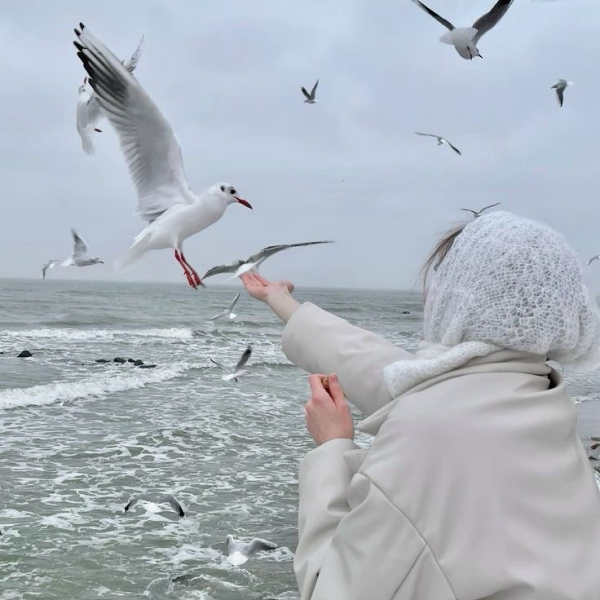 Екатерина Горбунова
