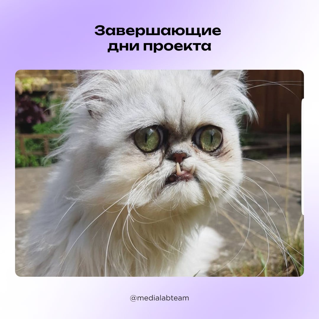 Самое время узнать, какой ты продюсер. А еще делись историями и мемами в каментах — мы всё читаем 👋
@medialabteam 🤍 | Сетка — социальная сеть от hh.ru