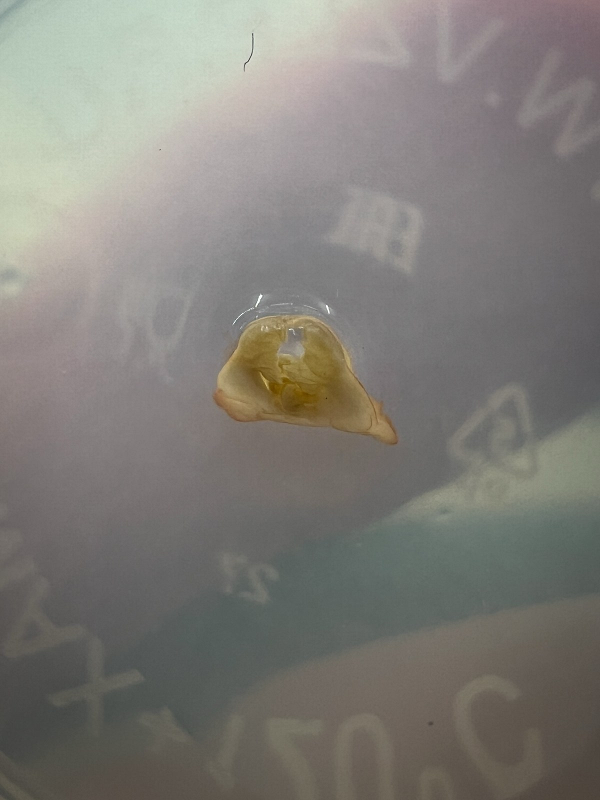 Эксперимент №46 | Сетка — социальная сеть от hh.ru