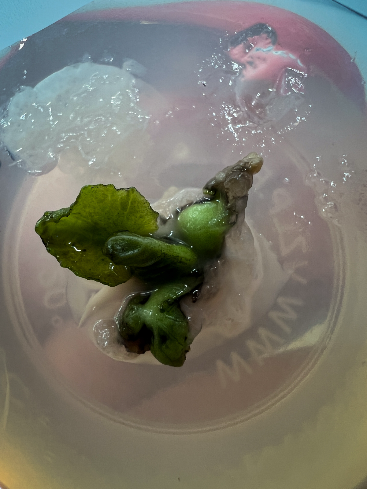 Эксперимент №46 | Сетка — социальная сеть от hh.ru