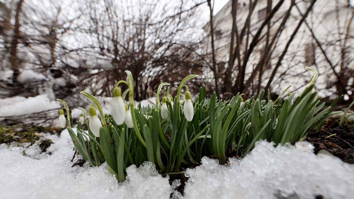 🌷Весна придёт в Москву раньше времени
Из-за небольшого количества снега солнечная энергия будет не топить сугробы, а прогревать саму почву.
📲Подпишитесь на Вдвижении | Сетка — социальная сеть от hh.ru