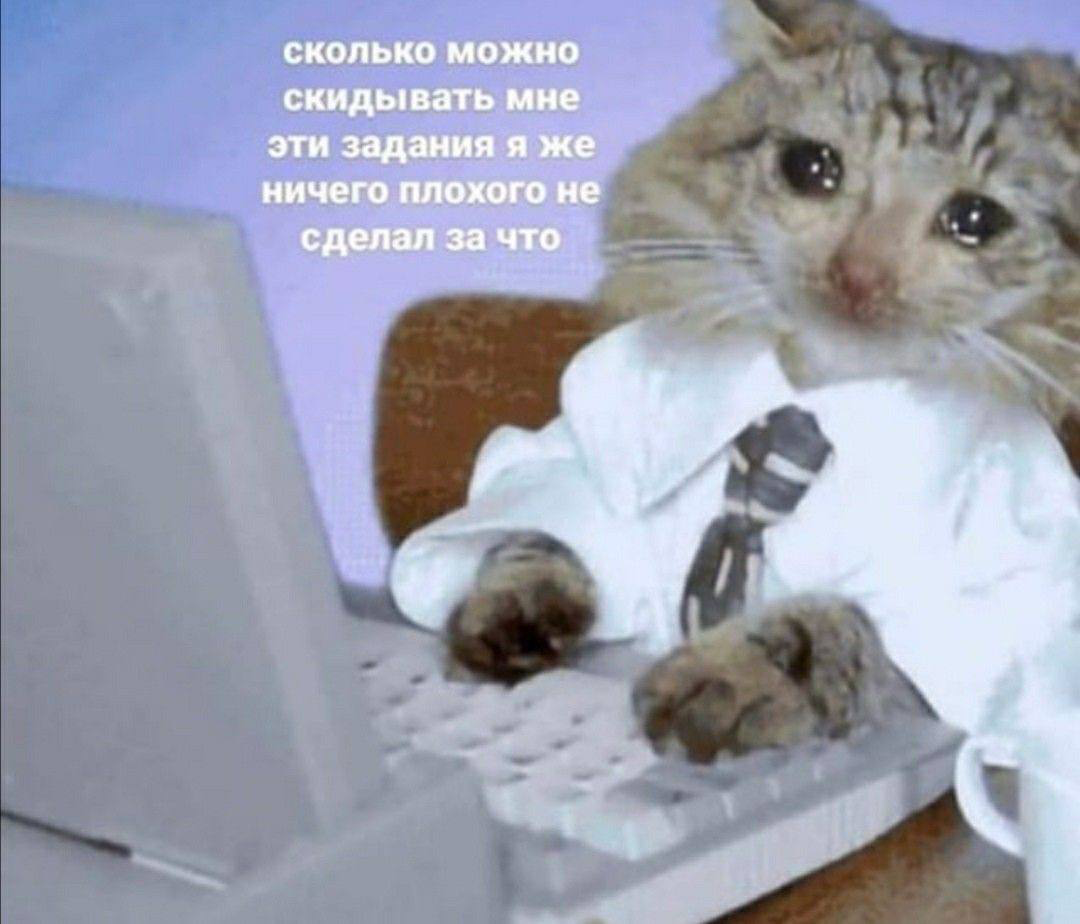🚩 4 ред флага в работе,
Или когда надо бежать
Про то, что недопустимо в отношениях знают уже, наверное, все)) Но порой мы забываем, что в работе тоже есть вещи, которые НЕ ОК | Сетка — социальная сеть от hh.ru