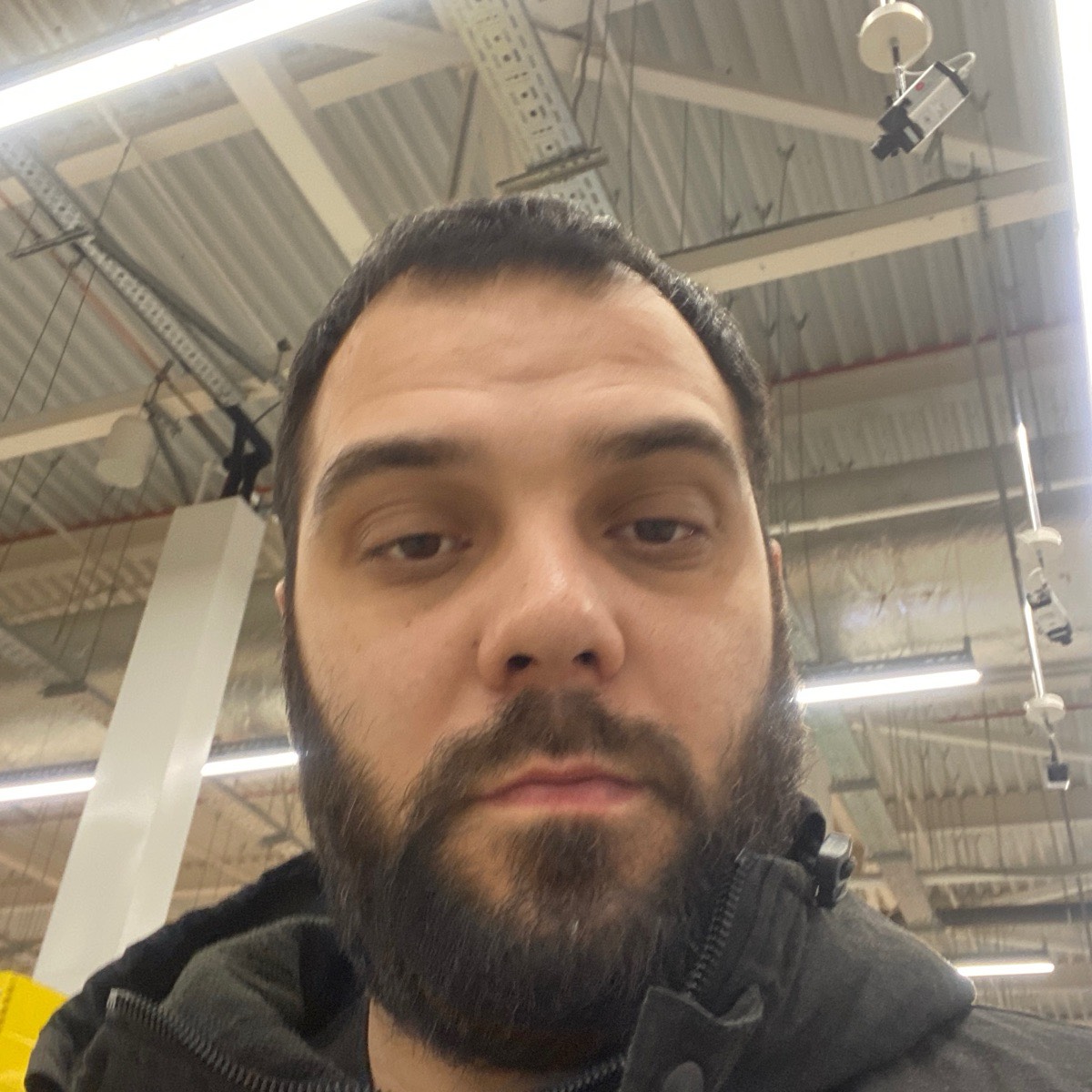 Илья Верещагин