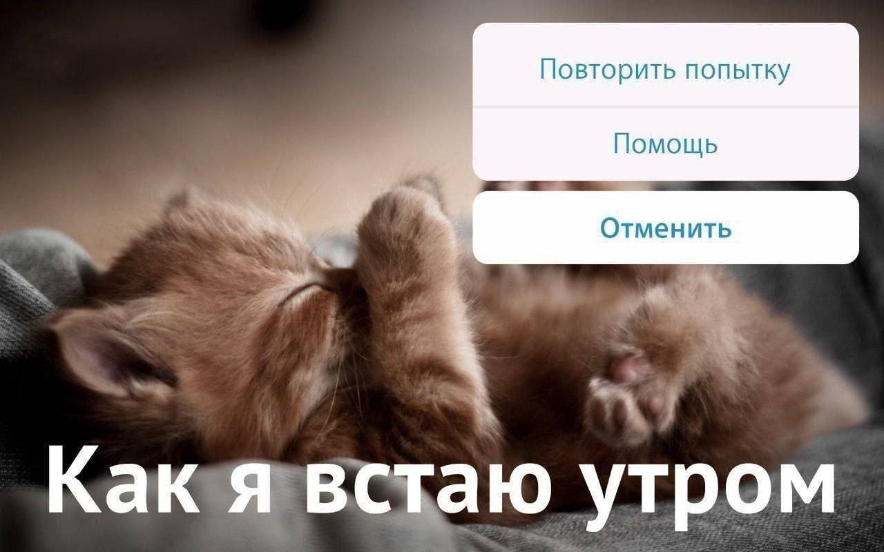 Доброго утра | Сетка — социальная сеть от hh.ru