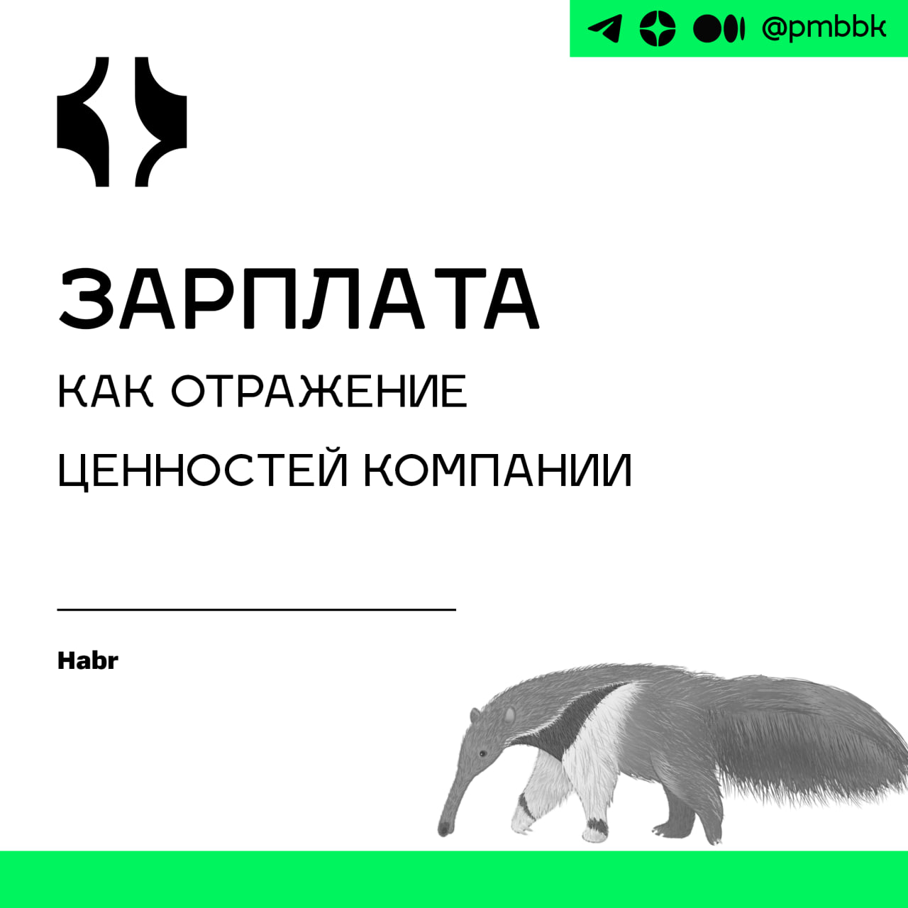 🤑 Зарплата, как отражение ценностей компании
Зарплата. Это слово само по себе вызывает реакцию «бей или беги» во многих людях | Сетка — социальная сеть от hh.ru