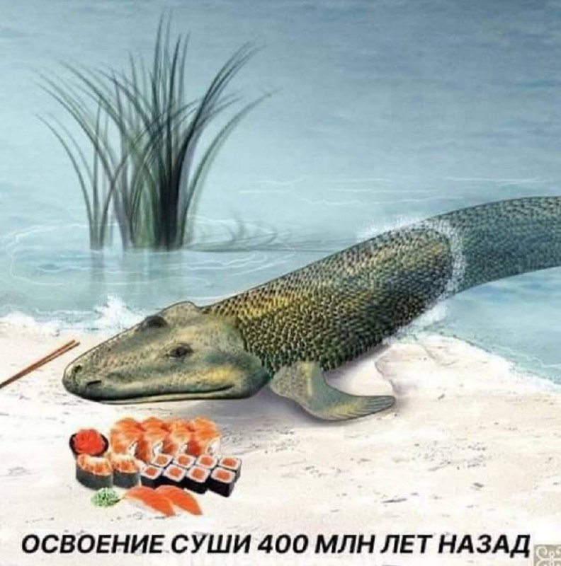 Мем
Рубрика позавчерашний мем. Делись в комментариях своим любимым мемом прошлой недели
#настявшляпе #мемвшляпе | Сетка — социальная сеть от hh.ru