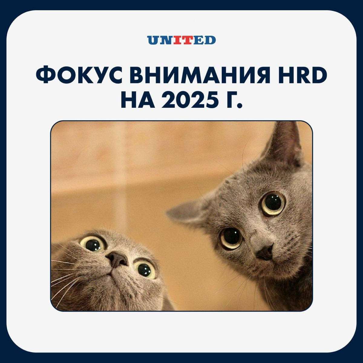 Фокус внимания HRD на 2025 год | Сетка — социальная сеть от hh.ru