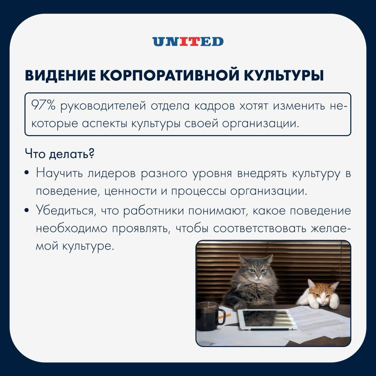 Фокус внимания HRD на 2025 год | Сетка — социальная сеть от hh.ru
