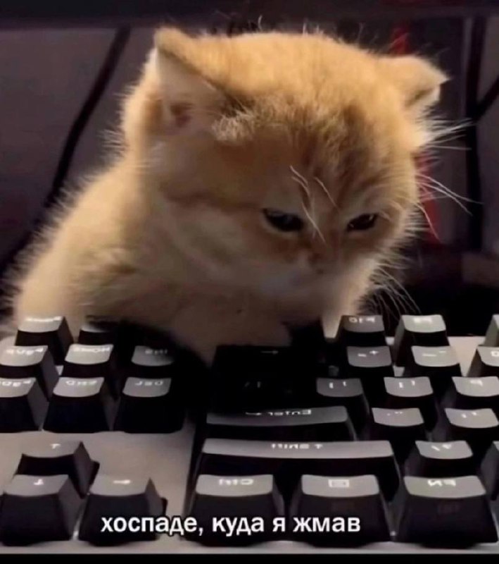 А какой ты сегодня? 😀
📊 KPI по мемам | Сетка — социальная сеть от hh.ru