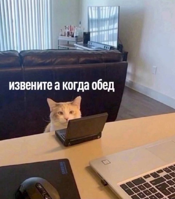 А какой ты сегодня? 😀
📊 KPI по мемам | Сетка — социальная сеть от hh.ru