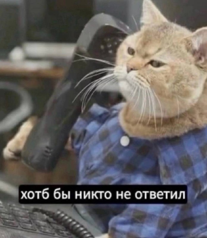 А какой ты сегодня? 😀
📊 KPI по мемам | Сетка — социальная сеть от hh.ru