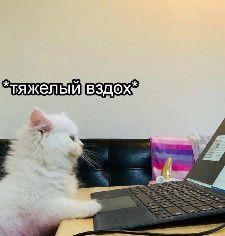 А какой ты сегодня? 😀
📊 KPI по мемам | Сетка — социальная сеть от hh.ru