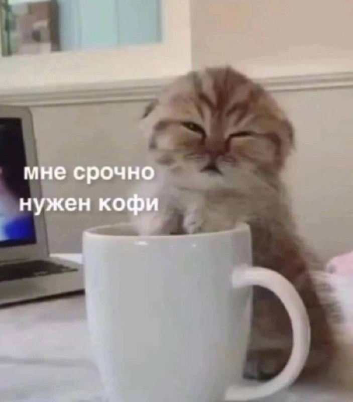 А какой ты сегодня? 😀
📊 KPI по мемам | Сетка — социальная сеть от hh.ru