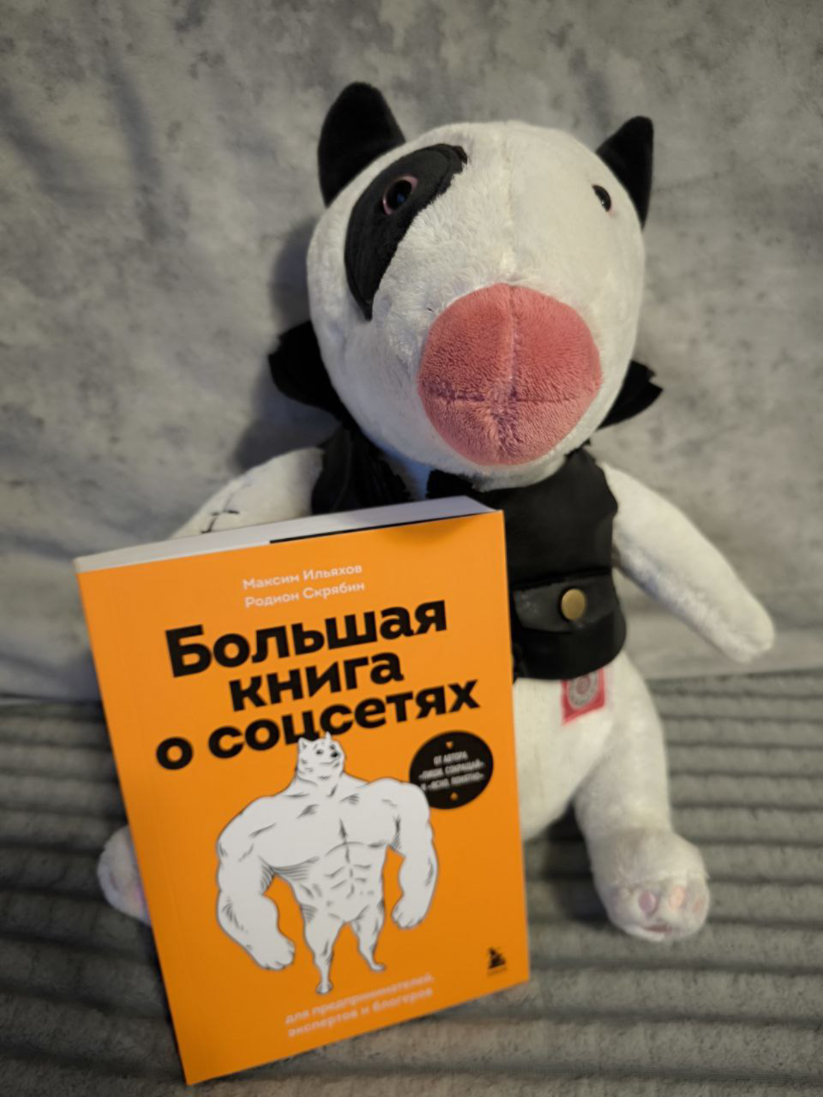 Новая книга про соцсети от Ильяхова (Пиши-сокращай) по-праву займёт место на вашей полке | Сетка — социальная сеть от hh.ru
