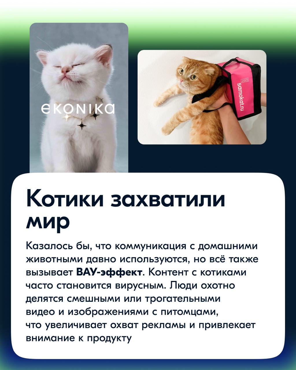 Всем привет! Как дизайнер, я ежедневно сталкиваюсь с вопросами: как бренд становится заметным? Какие приёмы помогают компаниям запоминаться и захватывать наше внимание в современном мире, где брендов ... | Сетка — социальная сеть от hh.ru