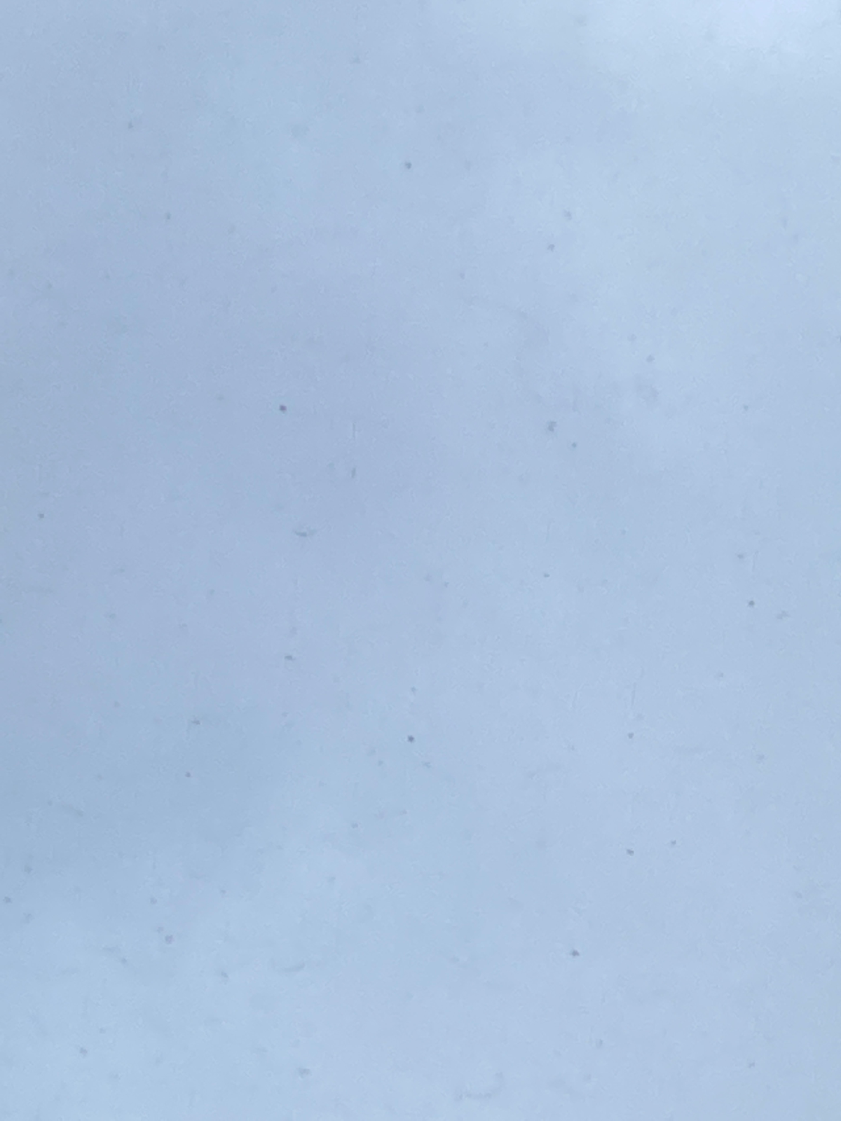 ☁️☁️ | Сетка — социальная сеть от hh.ru