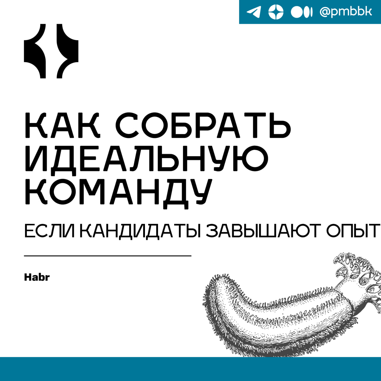 🐜 Как собрать идеальную команду, если кандидаты завышают опыт
Значительную часть рабочего времени я посвящаю подбору специалистов и в общей сложности занимаюсь этим уже более 5 лет | Сетка — социальная сеть от hh.ru