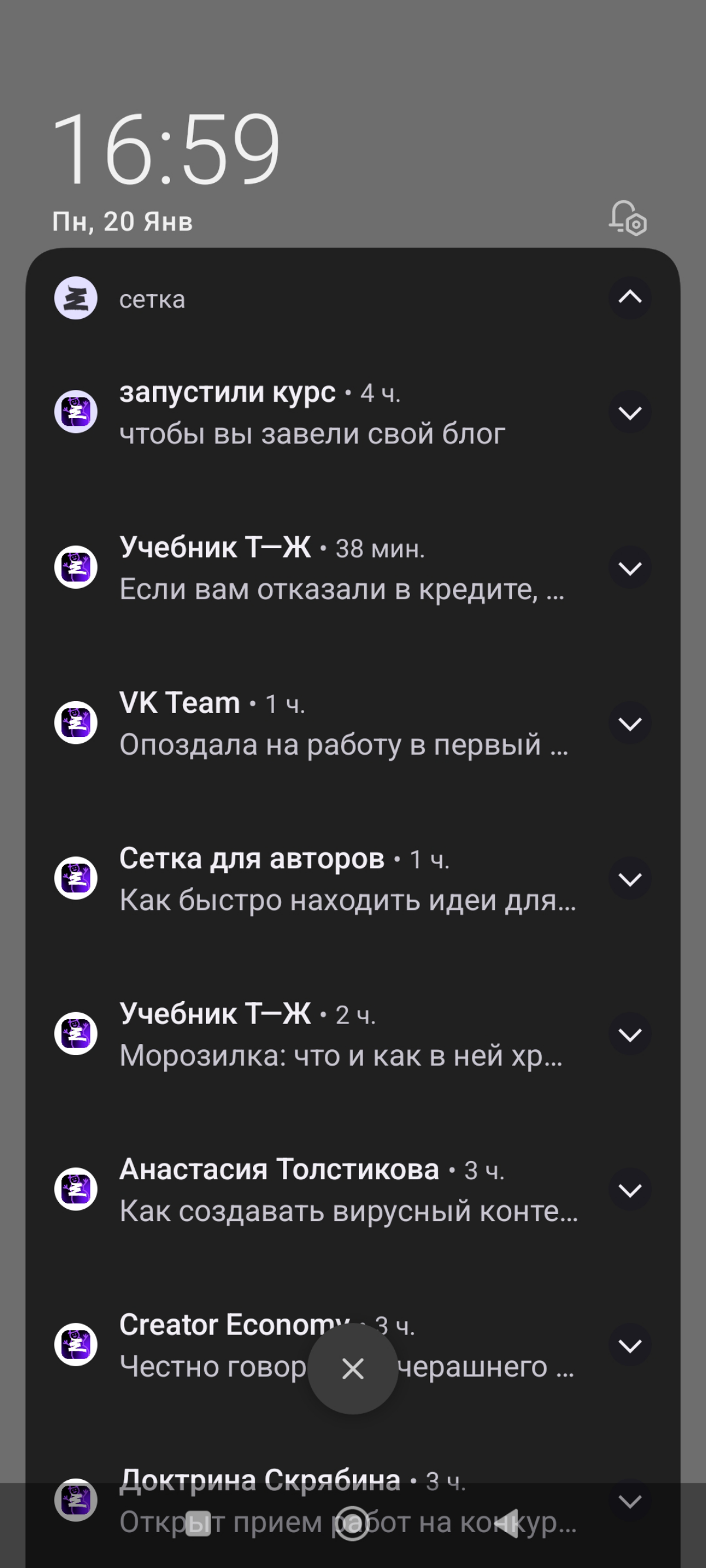 Сетка, ты одурела? | Сетка — социальная сеть от hh.ru