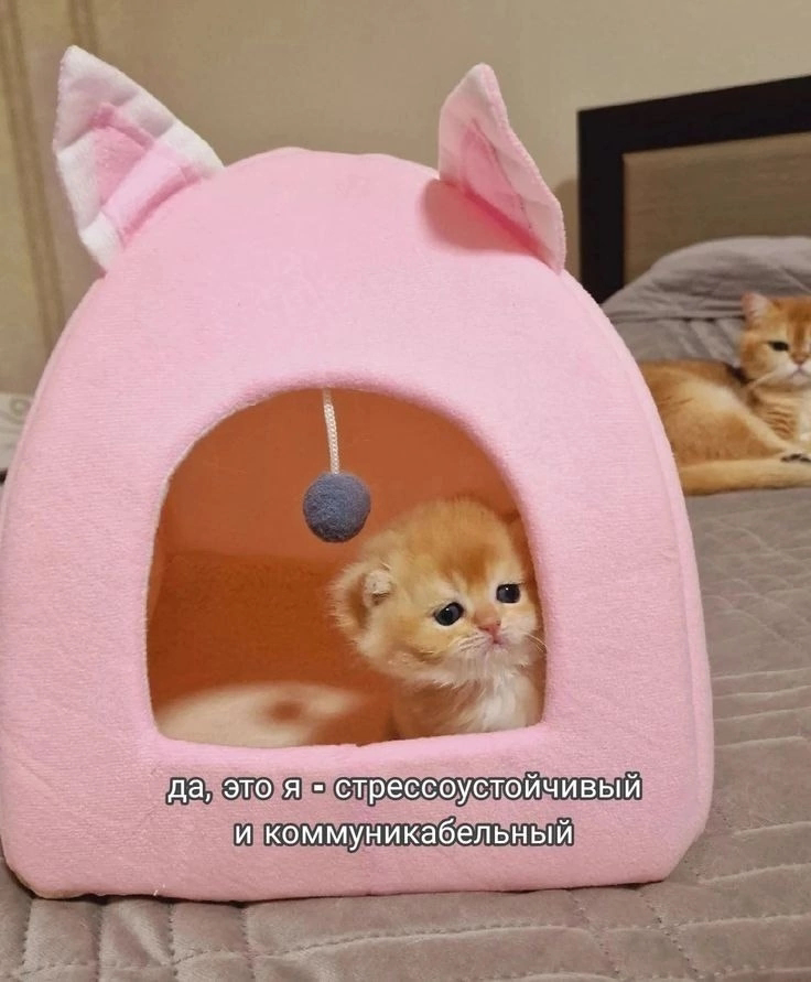 Уже думали, куда поедете в этом году? Конференции по ИТ, особенно по управлению ресурсами, проектами, поиску подрядчиков. Нетворкинг мероприятия | Сетка — социальная сеть от hh.ru